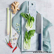 Ніх кухонний (шефа) Opinel / Опінель N 219 Santoku Intempora (Франція), фото 5
