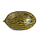 Диня KS 775 F1 | KS 775 F1 Kitano Seeds 100 насінин, фото 3