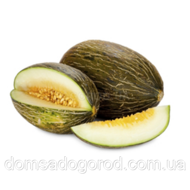 Диня KS 775 F1 | KS 775 F1 Kitano Seeds 100 насінин