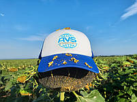 Неймар Плюс насіння соняшнику 53ц/га. Соняшник під гранстар (Неймар Плюс) заразиха A-G+. Фракція Екстра, фото 8