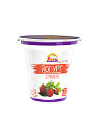 Йогурт десертный с фруктовым наполнителем Земляника 2,5% АМА 125г