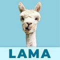 LAMA