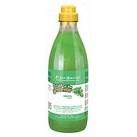 Шампунь Iv San Bernard Mint освіжаюча і тонізуюча, з м'ятою та Вітамином В6, 1л