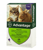 Advantage (Адвантейж) капли от блох для кошек свыше 4 кг (1 пипетка)