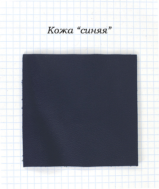 Шкіра синя, фото 1