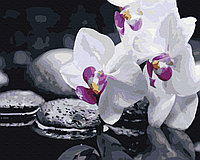 Картина за номерами Квіти дзену Східна тематика Картини на полотні Орхідеї Brushme BS21140