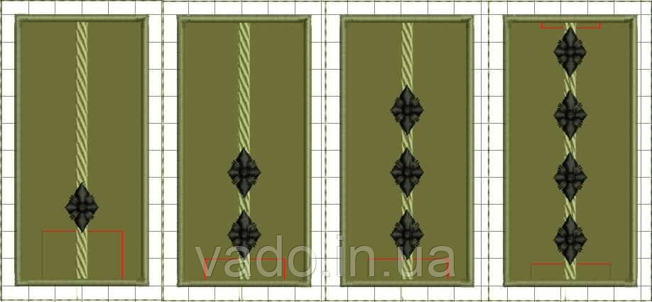Погони ДПтС України, фото 1