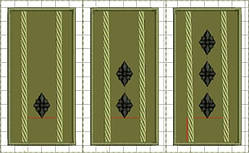 Погони ДПтС України