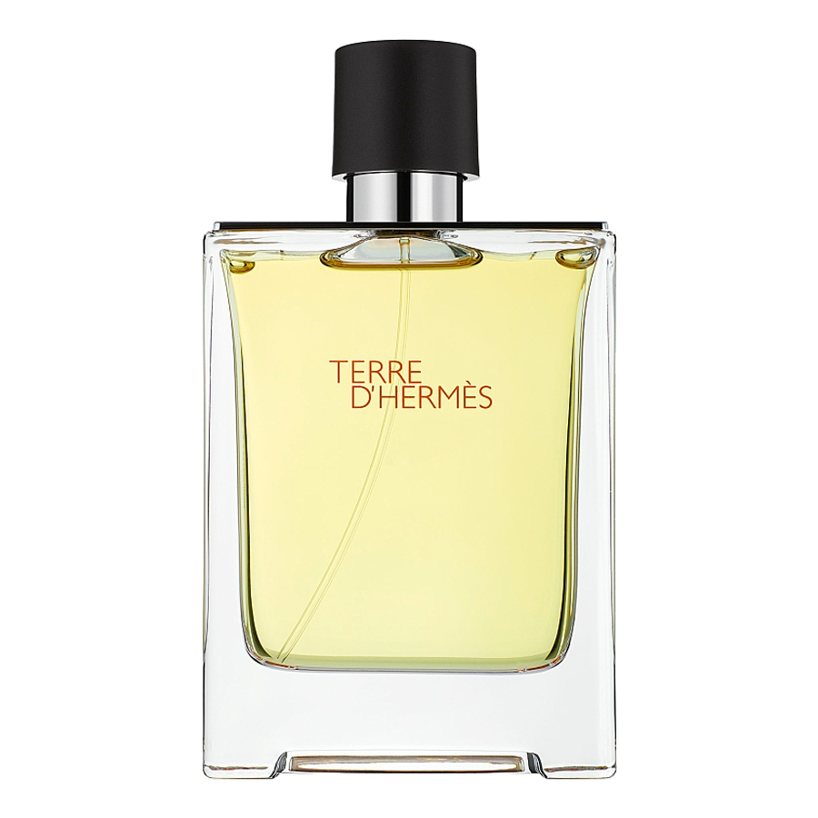 Hermes Terre D'Hermes EDP EDT Чоловіча туалетна вода 100 ml ( Хермес Тьєре Де Хермес) Чоловічі парфуми Parfum