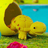 Іграшка, що зростає в яйці «Croc & Turtle Eggs» Крокодили та черепахи, фото 3