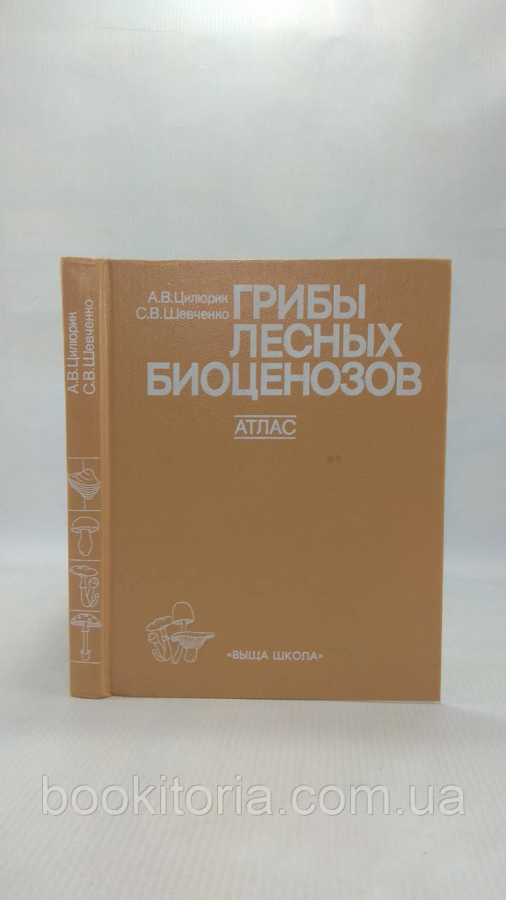 Цилюрик А., Шевченко С. Гриби лісових біоценозів (б/у).