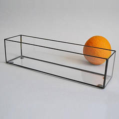 Порожній скляний прямокутний флораріум