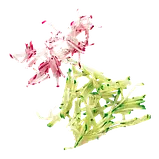 Диск Robot Coupe 27599, фото 4