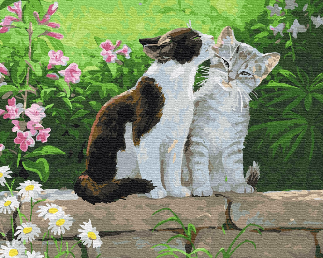 Картина По Номерам Пара Котят Картины в Цифрах Кошки Раскраска ...