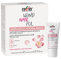 Експрес-маска для інтенсивного живлення волосся Itely Hairfashion WondHairFul Amplifico Hydra Mask