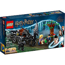 Конструктор LEGO Harry Potter 76400 Карета та фестрали Гоґвортсу