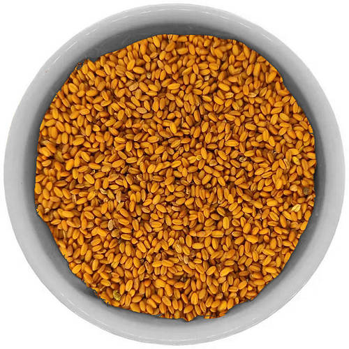 Купить Рыжей (Рыжик) семена (1кг), цена 185 ₴ — Prom.ua (ID#1650874122)