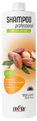 Зволожувальний шампунь для пошкодженого волосся Itely Hairfashion Shampoo Professional Argan Oil