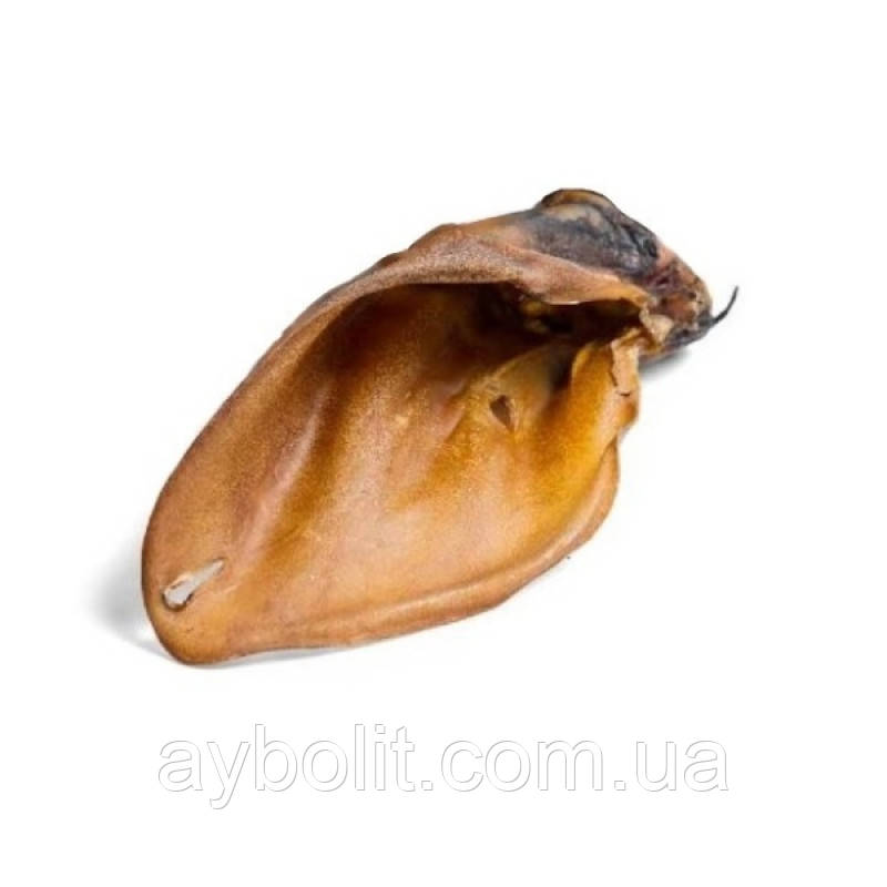Ласощі Зоосет вухо яловиче сушене 1шт