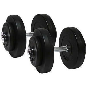 Гантелі 2х10 кг (Металевий Гриф), фото 1