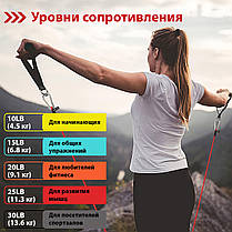 Набір еспандерів для фітнесу WCG T15 . 5 джгутів + ЧОХОЛ, фото 3