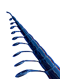 Матчеве вудлище телескопічне Weida Silver Hawk 4.4 м (80 г), фото 3