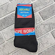Шкарпетки чоловічі високі весна/осінь 2 сорт р.42-44 асорті HOPE WORLD 30036712, фото 2