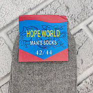 Шкарпетки чоловічі високі весна/осінь 2 сорт р.42-44 асорті HOPE WORLD 30036712, фото 4