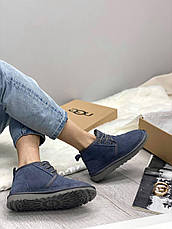 Чоловічі черевики UGG Neumel Suede Boots New Navy 3236, фото 2