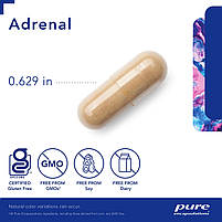 Pure Encapsulations Adrenal/Кора надниркових капців 60 таблеток BX201, фото 4