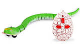 Змія з пультом керування ZF Rattle snake (зелена) amc, фото 2