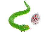 Змія з пультом керування ZF Rattle snake (зелена) amc, фото 3