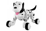 Робот собака на радіокеруванні Happy Cow Smart Dog (чорний), фото 8