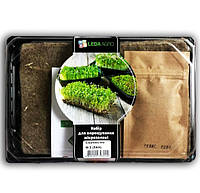 Набор для выращивания микрозелени Смачниссимо, редис+лук+салат