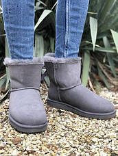 Жіночі черевики UGG Mini Bailey Bow II Boot Grey 190108141016, фото 4