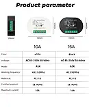 Бездротовий вимикач з таймером зворотного відліку в підрозетник 16А 433мГц, фото 4