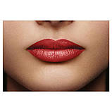 Яскрава червона сатинова губна помада L'Oréal Paris shades of reds 125 maison marais, фото 2