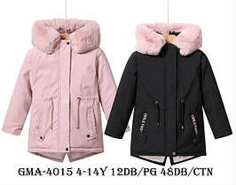 Куртки для дівчаток оптом, Glo-Story, розміри 4-14 років, арт. GMA-4015