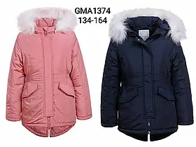 Куртки для дівчаток утеплені оптом, Glo-Story, розміри 134-164, арт. GMA-1374