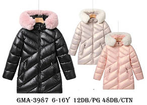 Куртки для дівчаток оптом, Glo-Story, розміри 6-16 років, арт. GMA-3987