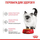 Корм вологий Royal Canin для кошенят желе Kitten Jelly 85 g, фото 9