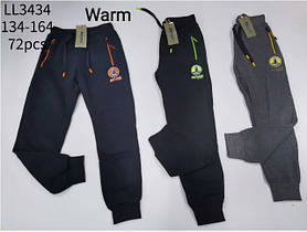 Утеплені штани для хлопчиків оптом, Sincere, розміри 134-164, арт. LL-3434