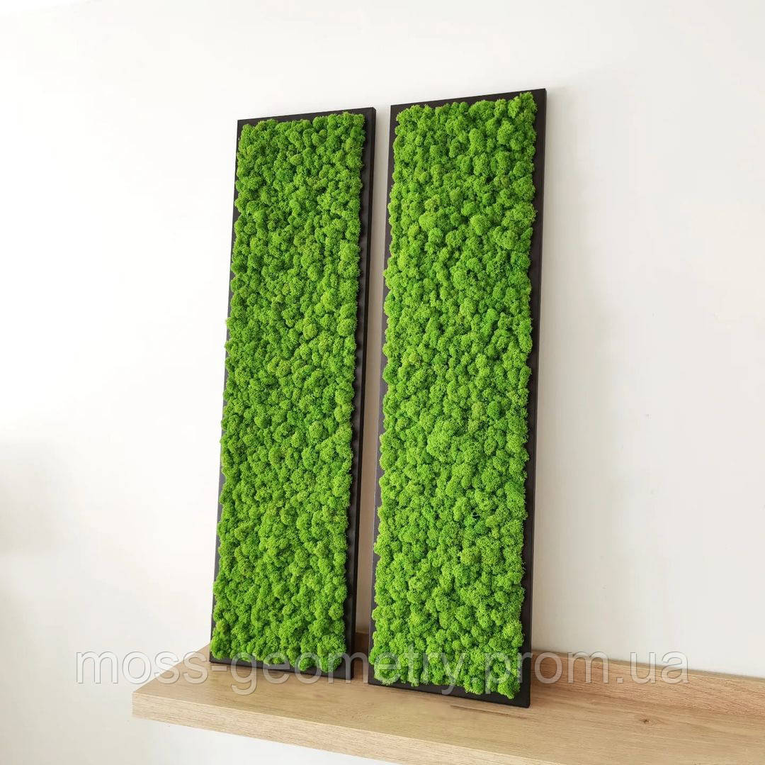 Панели Из Стабилизированного Мха с Рамкой — Купить Недорого на Bigl.ua ...