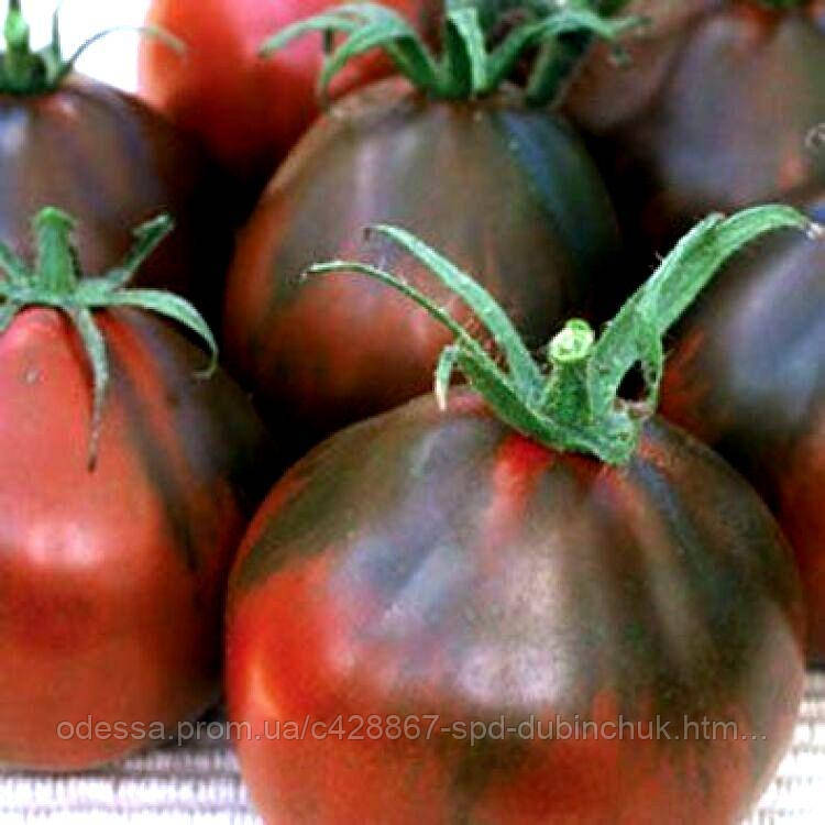 Томат БЕДУИН — Купить Недорого на Bigl.ua (1651355362)