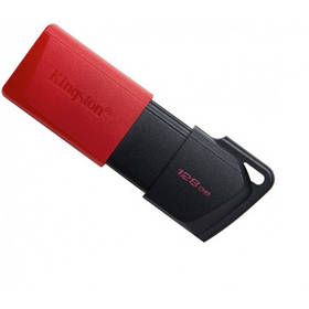 USB флешнакопичувач Kingston 128 GB DataTraveler Exodia M USB 3.2 (DTXM/128GB)