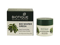 BIO GREEN WINTER CREAM (16GM) BIOTIQUE, ПРОТИЗАПАЛЬНИЙ КРЕМ ДЛЯ ОБЛИЧЧЯ БІО ВІНТЕР ГРІН нормалізує структуру шкіри, від прищів