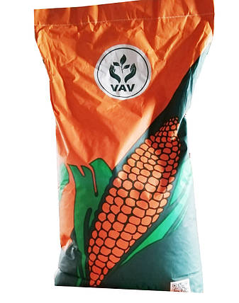 Кукурудза ДН Меотида ФАО 190 VAV, фото 1