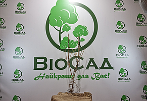 Аґрус Хіннонмакі Грін (Hinnonmaki Green), фото 4
