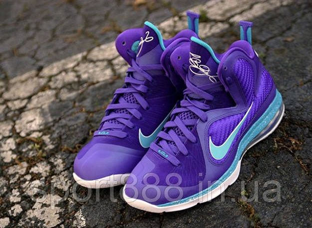 Lebron hornet outlet