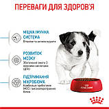 Корм сухий Royal Canin для цуценят малих порід MINI PUPPY 800 g, фото 6